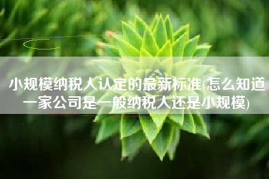 小规模纳税人认定的最新标准(怎么知道一家公司是一般纳税人还是小规模)