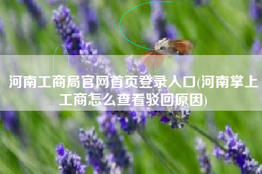 河南工商局官网首页登录入口(河南掌上工商怎么查看驳回原因)