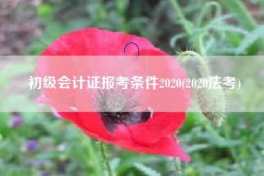 详细阅读:初级会计证报考条件2020(2020法考) 初级会计证报考条件2020(2020法考)