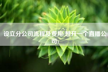 详细阅读:设立分公司流程及费用(想开一个直播公司) 设立分公司流程及费用(想开一个直播公司)