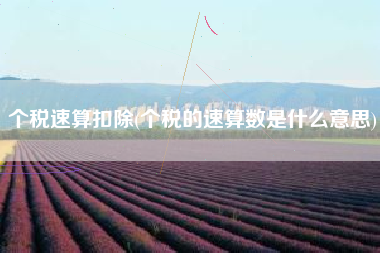 详细阅读:个税速算扣除(个税的速算数是什么意思) 个税速算扣除(个税的速算数是什么意思)