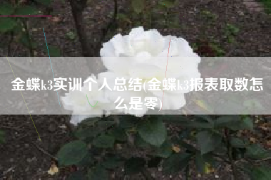 金蝶k3实训个人总结(金蝶k3报表取数怎么是零)