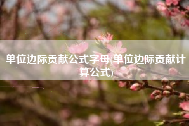 单位边际贡献公式字母(单位边际贡献计算公式)