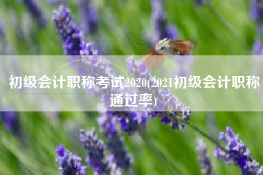 初级会计职称考试2020(2021初级会计职称通过率)