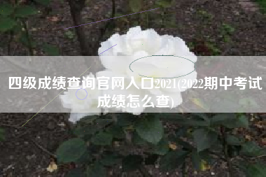 四级成绩查询官网入口2021(2022期中考试成绩怎么查)