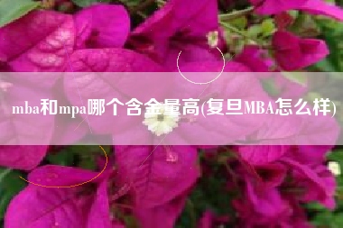 mba和mpa哪个含金量高(复旦MBA怎么样)