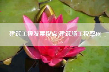 建筑工程发票税点(建筑施工税率10)