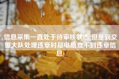 信息采集一直处于待审核状态(但是到交警大队处理违章时却电脑查不到违章信息)