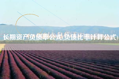 长期资产负债率公式(负债比率计算公式)