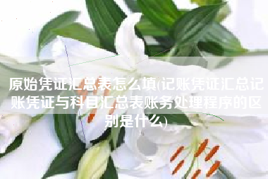 原始凭证汇总表怎么填(记账凭证汇总记账凭证与科目汇总表账务处理程序的区别是什么)