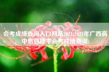 会考成绩查询入口网站2021(2021年广西高中信息技术会考成绩查询)