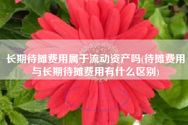 长期待摊费用属于流动资产吗(待摊费用与长期待摊费用有什么区别)