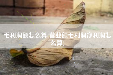 毛利润额怎么算(营业额毛利润净利润怎么算)