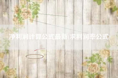 净利润计算公式最新(求利润率公式)