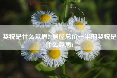 契税是什么意思?(房屋总价一半的契税是什么意思)