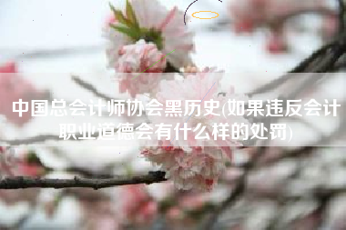 中国总会计师协会黑历史(如果违反会计职业道德会有什么样的处罚)