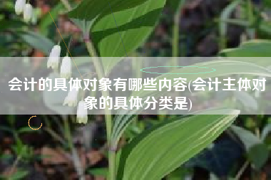 会计的具体对象有哪些内容(会计主体对象的具体分类是)