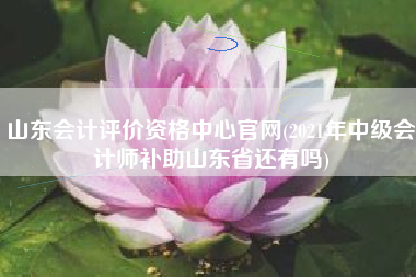 山东会计评价资格中心官网(2021年中级会计师补助山东省还有吗)