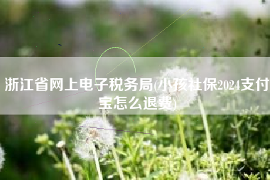 浙江省网上电子税务局(小孩社保2024支付宝怎么退费)