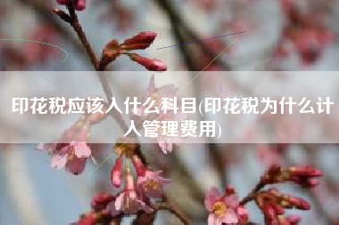 印花税应该入什么科目(印花税为什么计入管理费用)