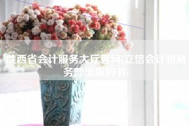 陕西省会计服务大厅官网(立信会计和财务部出版的书)
