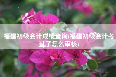 福建初级会计成绩查询(福建初级会计考过了怎么审核)