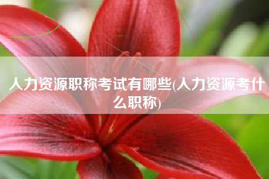 人力资源职称考试有哪些(人力资源考什么职称)