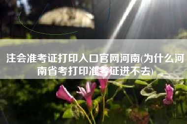 注会准考证打印入口官网河南(为什么河南省考打印准考证进不去)