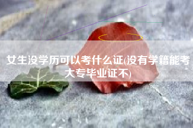 女生没学历可以考什么证(没有学籍能考大专毕业证不)