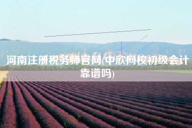 河南注册税务师官网(中欣网校初级会计靠谱吗)