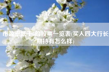 市盈率低于5的股票一览表(买入四大行长期持有怎么样)