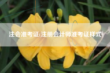 注会准考证(注册会计师准考证样式)