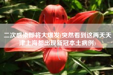 二次感染即将大爆发(突然看到这两天天津上海都出现新冠本土病例)