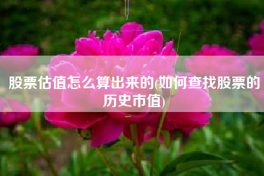 股票估值怎么算出来的(如何查找股票的历史市值)