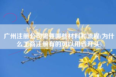 广州注册公司需要哪些材料和流程(为什么工商注册有的可以用省开头)