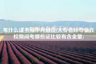 考什么证书每个月给钱(大专会计专业在校期间考哪些证比较有含金量)
