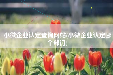 小微企业认定查询网站(小微企业认定哪个部门)