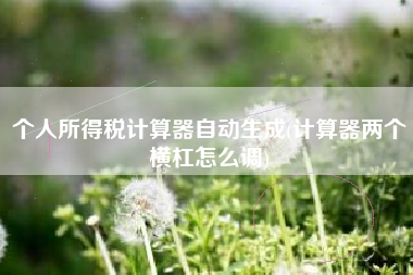 个人所得税计算器自动生成(计算器两个横杠怎么调)