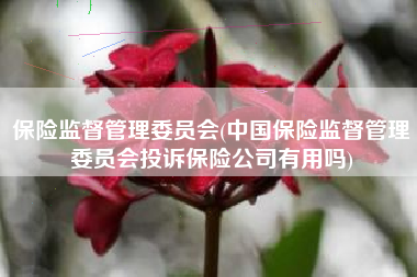 保险监督管理委员会(中国保险监督管理委员会投诉保险公司有用吗)