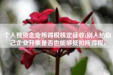 个人独资企业所得税核定征收(别人给自己企业开票是否也能够抵扣所得税)