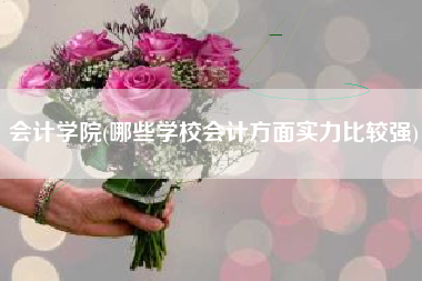 会计学院(哪些学校会计方面实力比较强)