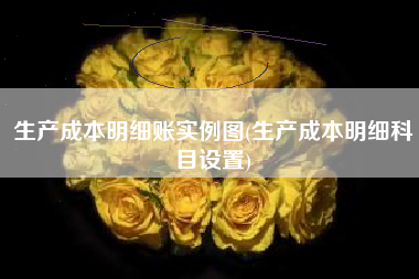生产成本明细账实例图(生产成本明细科目设置)
