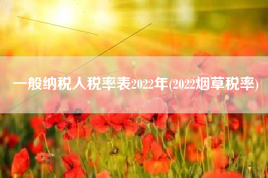 一般纳税人税率表2022年(2022烟草税率)