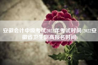 安徽会计中级考试2022年考试时间(2022安徽省卫生副高报名时间)