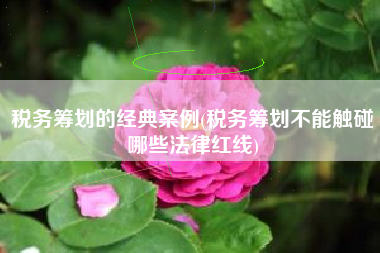 税务筹划的经典案例(税务筹划不能触碰哪些法律红线)
