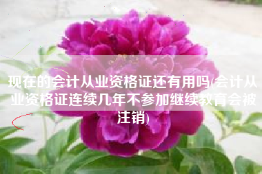 现在的会计从业资格证还有用吗(会计从业资格证连续几年不参加继续教育会被注销)