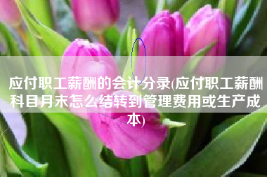 详细阅读:应付职工薪酬的会计分录(应付职工薪酬科目月末怎么结转到管理费用或生产成本) 应付职工薪酬的会计分录(应付职工薪酬科目月末怎么结转到管理费用或生产成本)