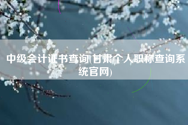 中级会计证书查询(甘肃个人职称查询系统官网)