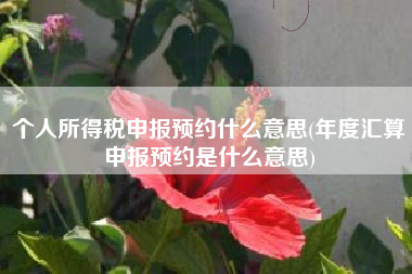 个人所得税申报预约什么意思(年度汇算申报预约是什么意思)