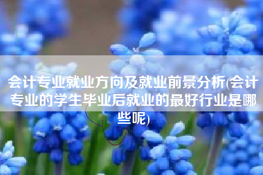 会计专业就业方向及就业前景分析(会计专业的学生毕业后就业的最好行业是哪些呢)